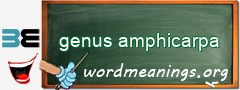 WordMeaning blackboard for genus amphicarpa